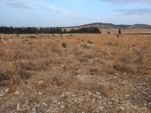 À vendre : terrain agricole de 2 hectares avec façade de 100 m sur route goudronnée, emplacement accessible, papiers en règle