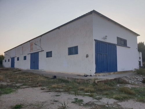 À louer : dépôt 5 000 m² dont 1 200 m² couverts avec 5 bureaux à Naassen – Emplacement stratégique sur route Khlidia