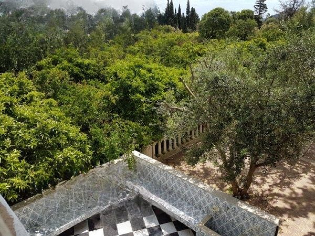 Maison de campagne 5000 m²  Ras jebel