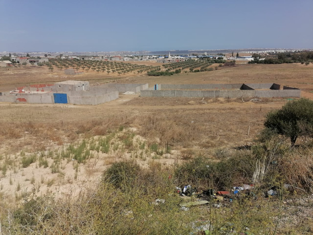 À vendre 4 lots de terrains clôturés à Lahouij Birini – Sidi Hcine
