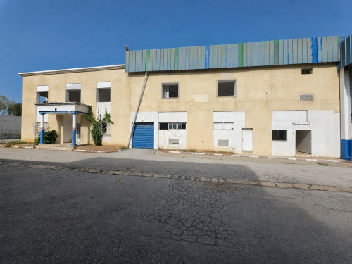 À vendre ensemble industriel de 7 050 m² dont 5 000 m² bâtis à Bir El Kassâa