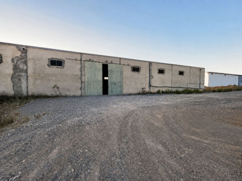 À louer – Dépôt de stockage et de distribution de 1 100 m² à Mhamdia