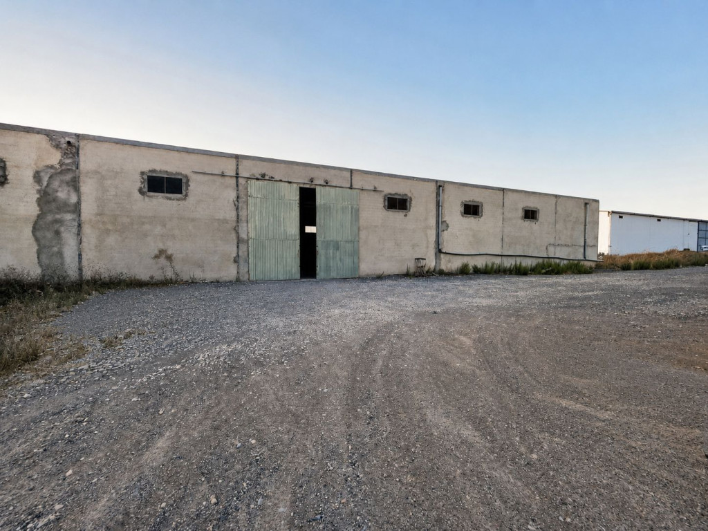 À louer – Dépôt de stockage et de distribution de 1 100 m² à Mhamdia